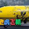 PA电玩狮来运转介绍：醒狮主题玩法与财运氛围全解析